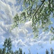Icon of program: Authentic Nature Reshade