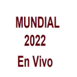 プログラムのアイコン：Ver Mundial 2022 en vivo