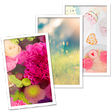 Icon of program: WALLFree HD Wallpapers