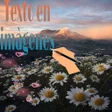程序图标：texto en imágenes