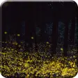 Forest Firefly live wallpaper