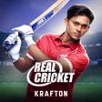 Real Cricket 22 icon
