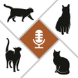 Biểu tượng của chương trình: Human to Cat Translator