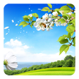 Spring Live Wallpaper