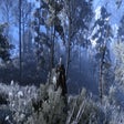 Icon of program: Freezing Winter Skellige