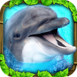 Icon of program: Dolphin Simulator