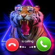 Icon of program: Phone Call Screen Color T…