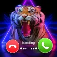 Phone Call Screen Color Theme