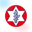程序图标：ארגון נכי צהל