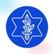 Ikon program: ארגון נכי צהל