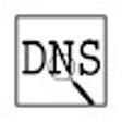 Icon of program: DNS INFO