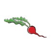 Icoon van programma: The Wild Radish