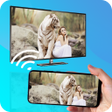 程序图标：HD Video Screen Cast