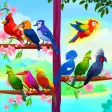 Color Bird Sort Puzzle Game