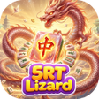Ikona programu: 5RTLizard