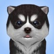 Ikona programu: Dog Simulator 2022