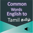Icon of program: Common Words English to T…