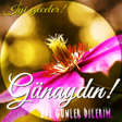 Ikona programu: Good morning night in Tur…