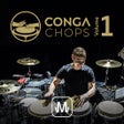 程序图标：Conga Chops - Vol 1