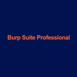 Icon of program: Burp Suite Professional