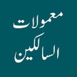 程序图标：Mamulaat