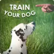 Dog Training - Train your Dog