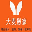 Icon of program: DaMai Goods Helper