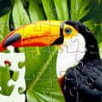 رمز البرنامج: Jigsaw Paradise