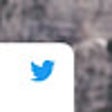 أيقونة البرنامج: Twitter Animator