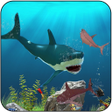 程序图标：Big Shark Vs Small Sharks