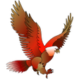 程序图标：King Bird Oman  OPC89546