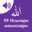 Ikona programu: Allohning 99 ismi Zikr Ta…