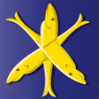 プログラムのアイコン：Zandvoort app