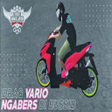 程序图标：ModBussid vario 125 drag …