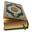 Ikon program: Hafizi Quran 15 lines per…