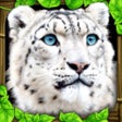 أيقونة البرنامج: Snow Leopard Simulator