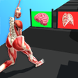 プログラムのアイコン：Human Run