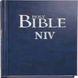 Ícone do programa: Niv Bible