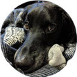 程序图标：Night Shift Google Drive