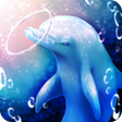 程序图标:Aquarium dolphin simulati…