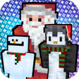 Иконка программы: Christmas Skins