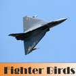 プログラムのアイコン：Fighter Birds
