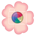 Symbol des Programms: Cherry Camera