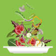 Icono de programa: Vegetarian Recipes