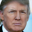 Иконка программы: Trump Tweet Viewer