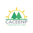 プログラムのアイコン：CACEENP Electrónica