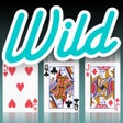 程序图标:Reel Wild Poker 88
