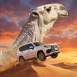 Ikon program: CSD Climbing Sand Dune