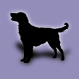 Biểu tượng của chương trình: Dog Breeds