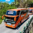 Bus Telolet Basuri Indonesia